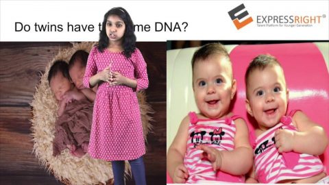 Genetic Engeneering by Manjusree Balaji
