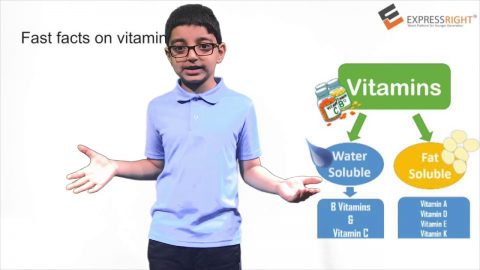 Vitamins By Harish Ganesh